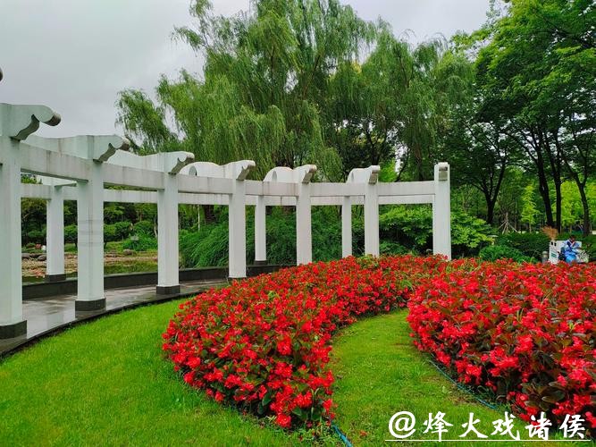 虹桥花市焕新升级，新增6300平方米公园绿地，并引入新业态